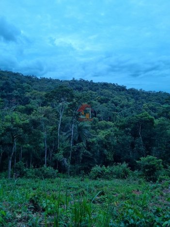 land_lot em Rua dos Pinheiros, Nova Lima - Nova Lima - MG