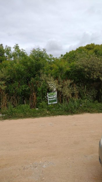 land_lot em Rua Mortágua, Laranjal - Pelotas - RS