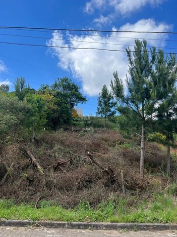 land_lot em Estrada Municipal Avelina Tomazzoni Piccoli, Monte Bérico - Caxias do Sul - RS