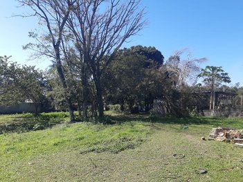 land_lot em Rua João Bonfante Filho, Vila Floresta II - Criciúma - SC