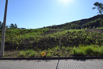 land_lot em Rua Argeu Ramos da Silva, Desvio Rizzo - Caxias do Sul - RS