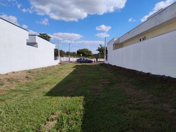 land_lot em Avenida José Puccinelli, Cascata - Paulínia - SP