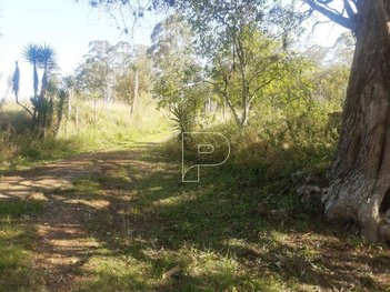 commercial_property em Estrada da Barra, Ibiúna - Ibiúna - SP