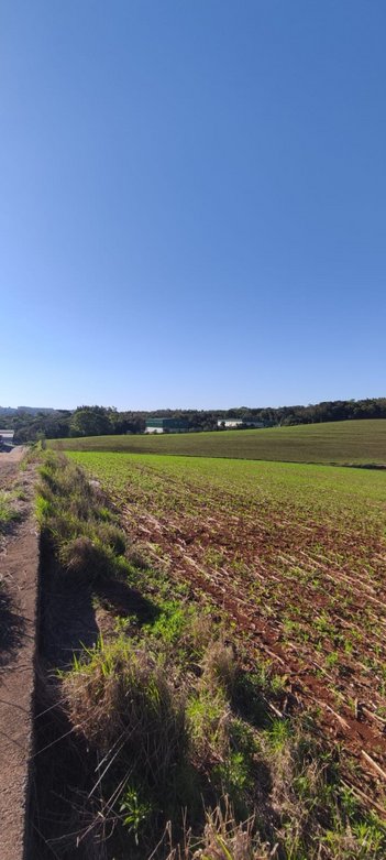 land_lot em Acesso Plínio Arlindo de Nes, Trevo - Chapecó - SC