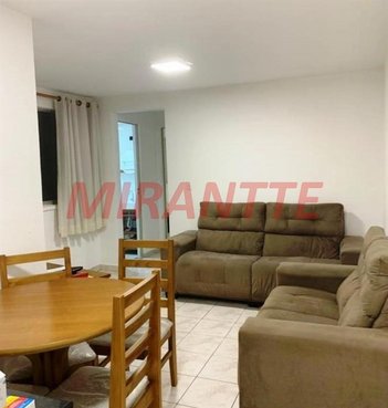 apartment em Avenida Parada Pinto, Vila Nova Cachoeirinha - São Paulo - SP