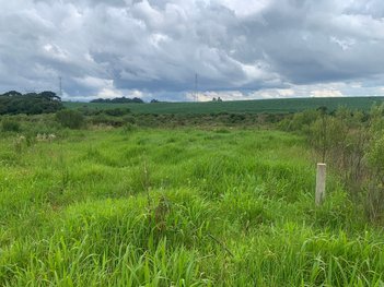land_lot em Rua José Bajerski, Campo Largo da Roseira - São José dos Pinhais - PR