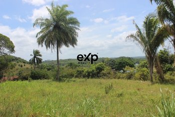 agricultural em Rua Francisco Drumond, Centro - Camaçari - BA