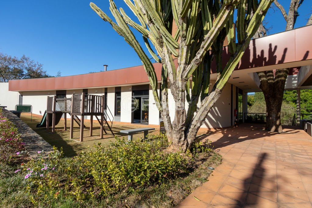 area-externa-com-playground-e-cactus