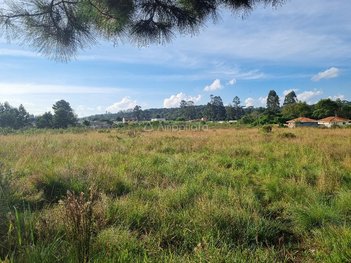 land_lot em Rua Antonio Collere, Timbu - Campina Grande do Sul - PR