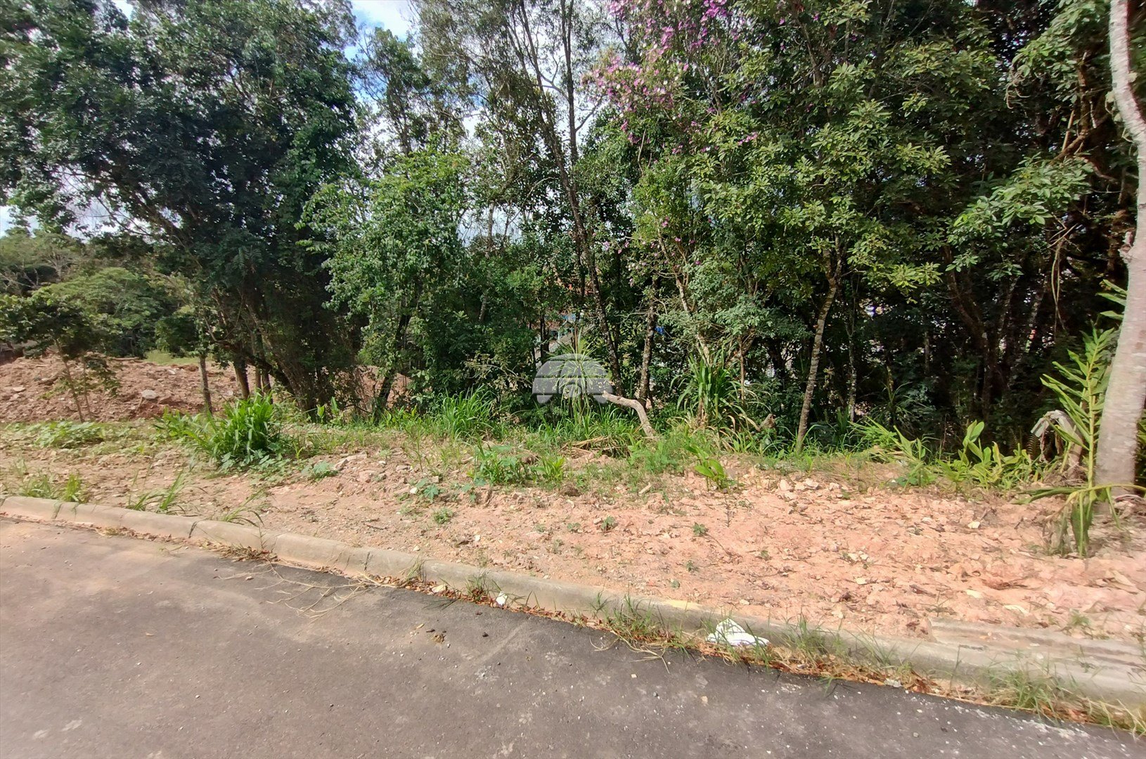 image-0