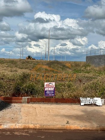 land_lot em Avenida Tio Ribas, Marialva - Marialva - PR