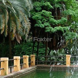 jardim-com-lago-e-fonte