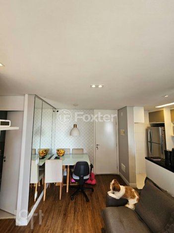 apartment em Rua Cajuru, Belenzinho - São Paulo - SP