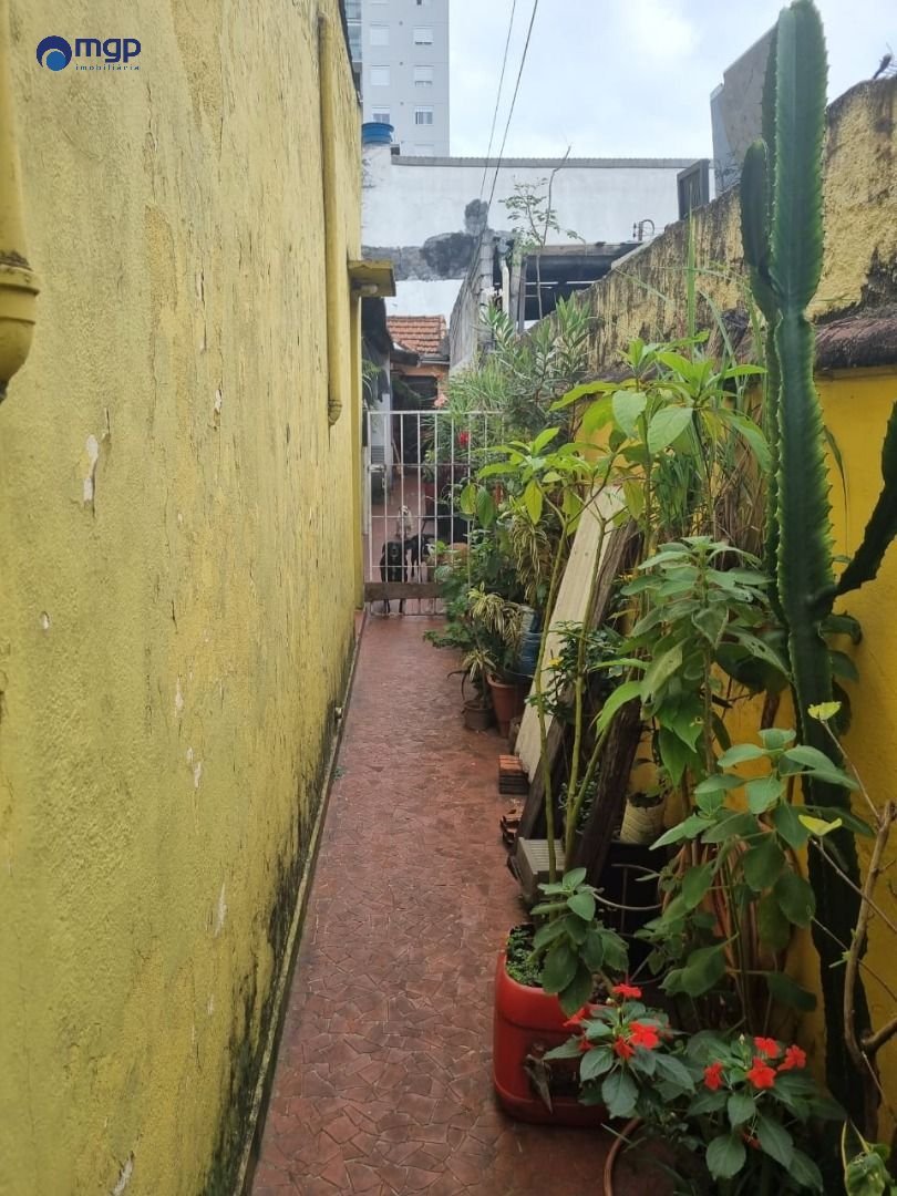 | Foto_migracao | 0