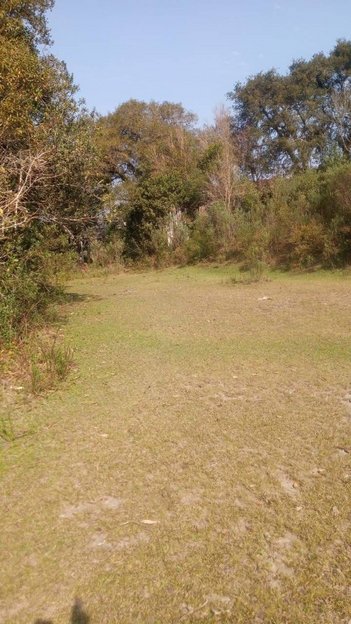 land_lot em Rua João Bortolan, Colônia Murici - São José dos Pinhais - PR