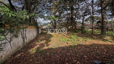 land_lot em Rua Schumann, Vista Alegre - Curitiba - PR