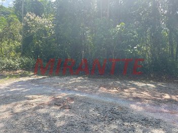 land_lot em Alameda dos Bicudos, Caraguatá - Mairiporã - SP