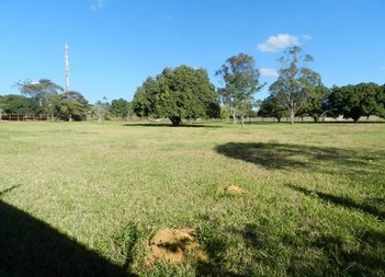 land_lot em SMPW Quadra 23, Park Way - Brasília - DF