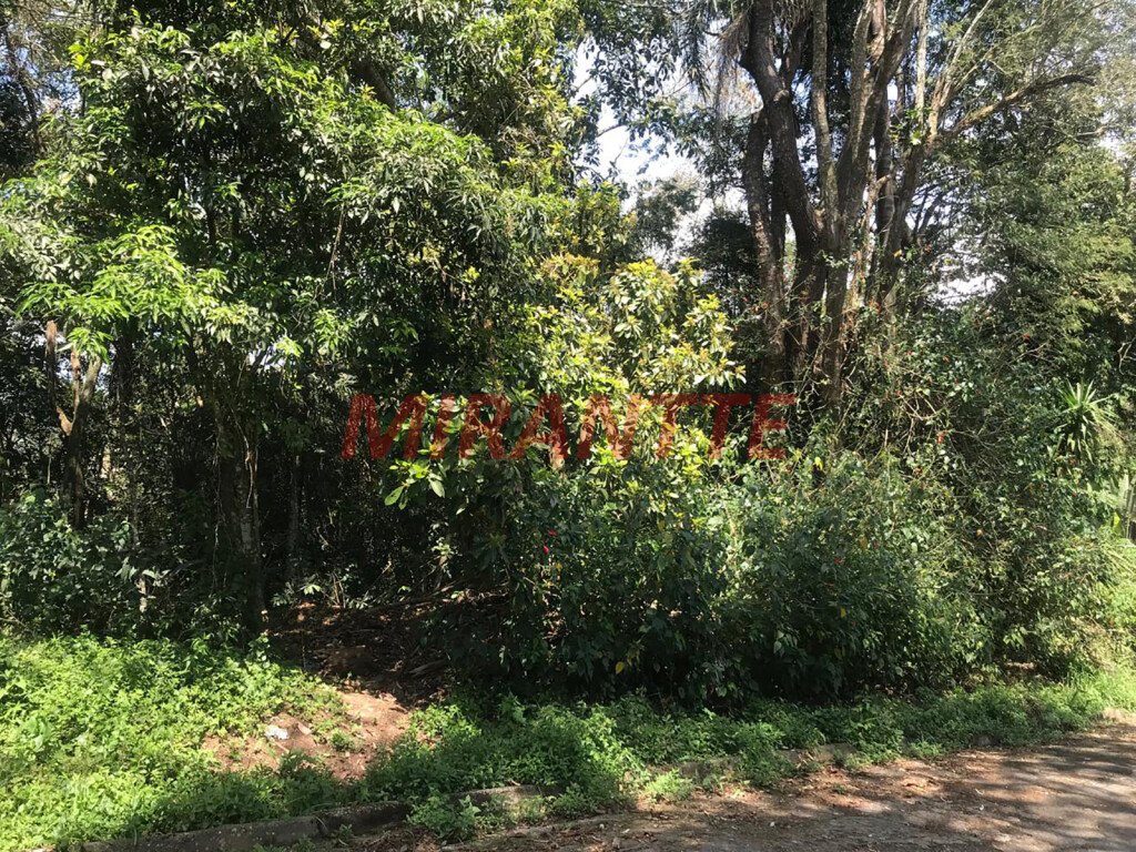 img1