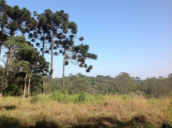 commercial_land_lot em Estrada Vicinal Municipal Ivo Mário Isaac Pires, Jardim Santa Paula - Cotia - SP