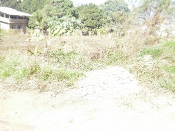 land_lot em Avenida Central, Panorama Industrial - Igarapé - MG