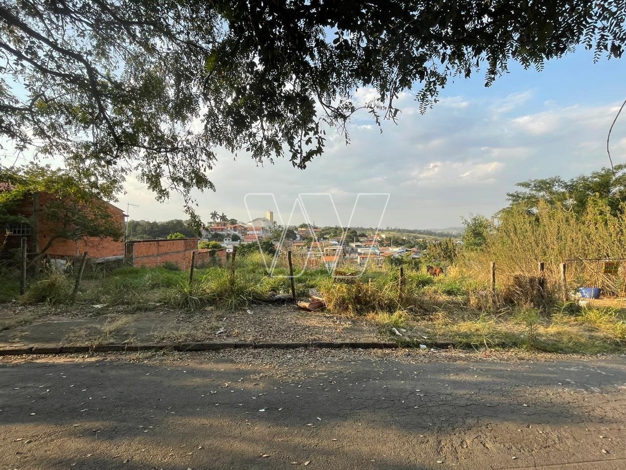 image-0