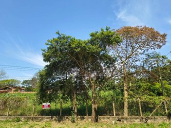 land_lot em Rua Copacabana, Residencial Alvorada - Araçoiaba da Serra - SP