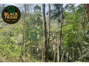 commercial_land_lot em Parada Américo Alves da Costa, Amparo - Nova Friburgo - RJ