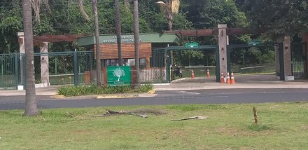 land_lot em Avenida Francisco Falvo, Residencial Samambaia - São Carlos - SP