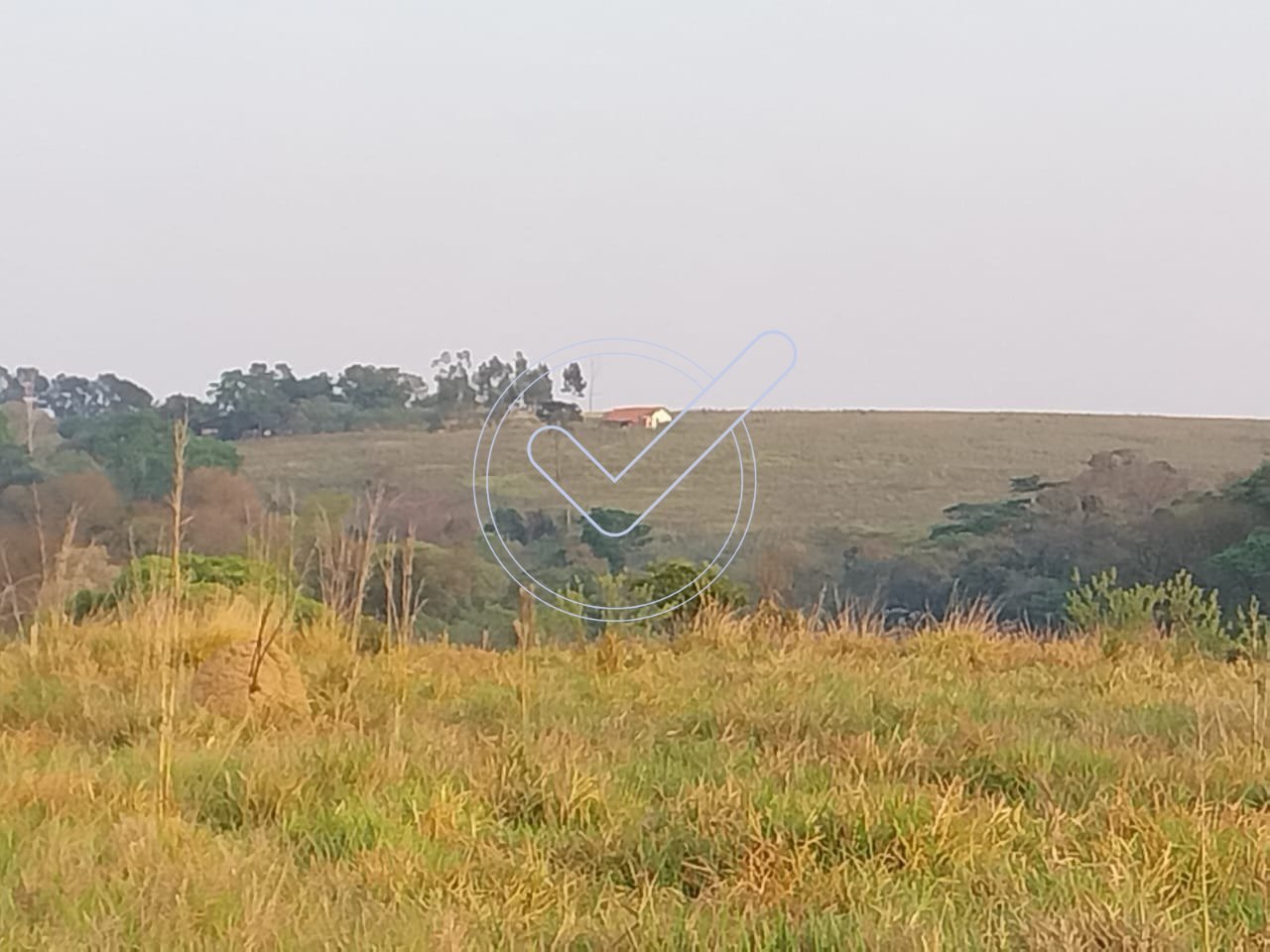 WhatsApp Image 2025-04-23 at 16.49