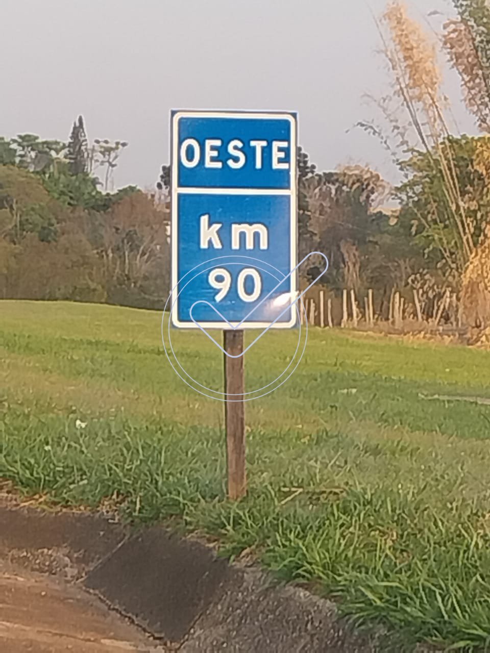 WhatsApp Image 2025-04-23 at 16.49