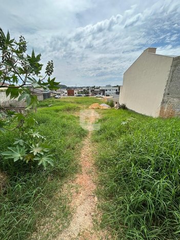 land_lot em Rua Catarina Druszcz Gotfrid, Passaúna - Araucária - PR
