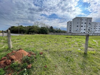 land_lot em Avenida Armando Fajardo, Igara - Canoas - RS