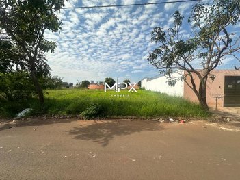 land_lot em Avenida Antônio Elias, Santa Rita - Piracicaba - SP