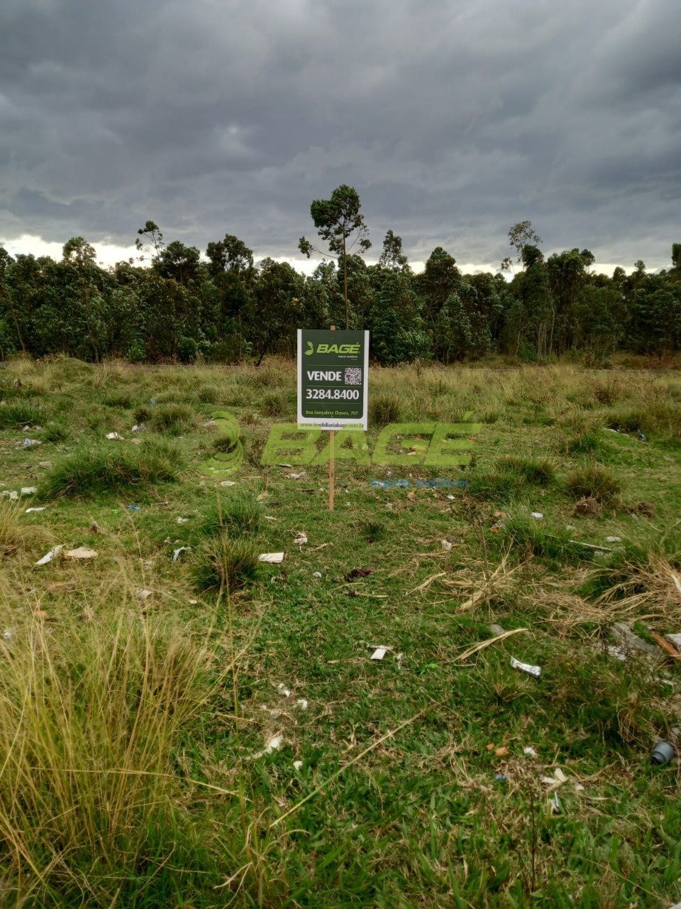Lote 06