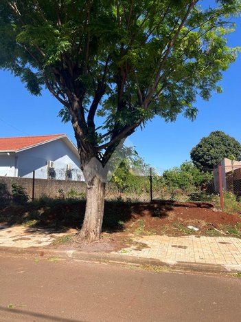 land_lot em Rua Doutor Adelfino Pancotto, Jardim Coopagro - Toledo - PR