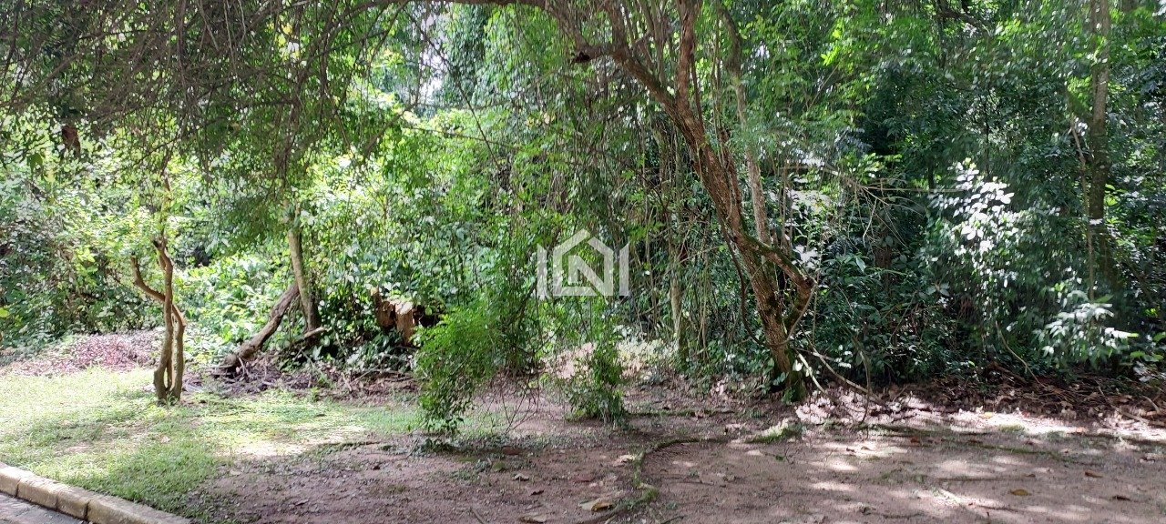 Terreno com fácil acesso.
