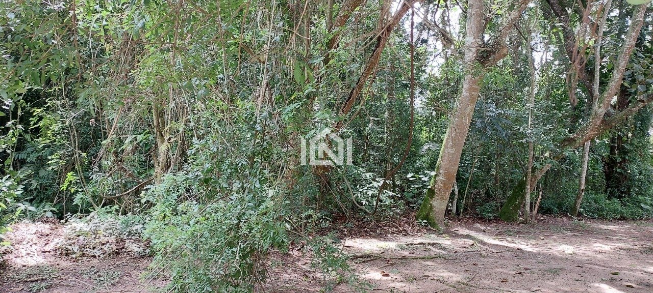 Terreno com fácil acesso e ótima topografia.