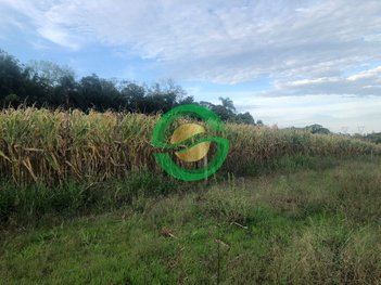 agricultural em Avenida Prefeito Orlando Oscar Baumhardt, Linha Santa Cruz - Santa Cruz do Sul - RS