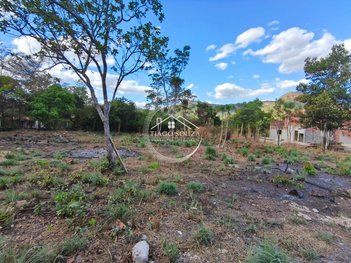 agricultural em Área Rural de Palmas, Área Rural de Palmas - Palmas - TO