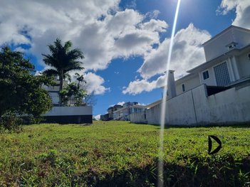 land_lot em Rua das Camélias, Pedra Branca - Palhoça - SC