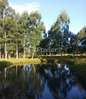 land_lot em Estrada do Quilombo, Feitoria - São Leopoldo - RS