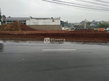 land_lot em Rodovia Teixeirinha, Neópolis - Gravataí - RS