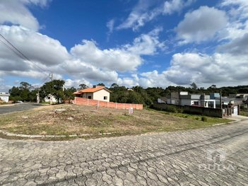 land_lot em Rua Lourenço Zanette, Santo Antônio - Criciúma - SC