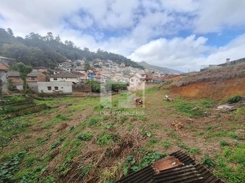 land_lot em Servidão Eugênia Júlia dos Santos, Saco dos Limões - Florianópolis - SC