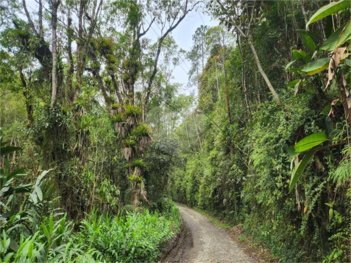 commercial_land_lot em Rua Carlos Lacerda, Jardim Joaquim Eugênio de Lima - Santo André - SP