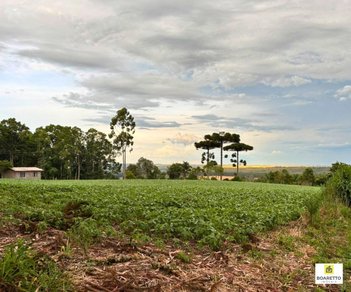 agricultural em Área Rural, Área Rural de Mafra - Mafra - SC