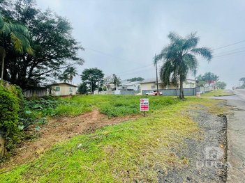 land_lot em Avenida dos Italianos, Santa Augusta - Criciúma - SC