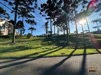 land_lot em ERS-235, Avenida Central - Gramado - RS