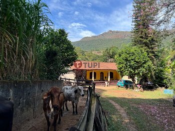 agricultural em Rua E, Santo Antônio do Salto - Ouro Preto - MG
